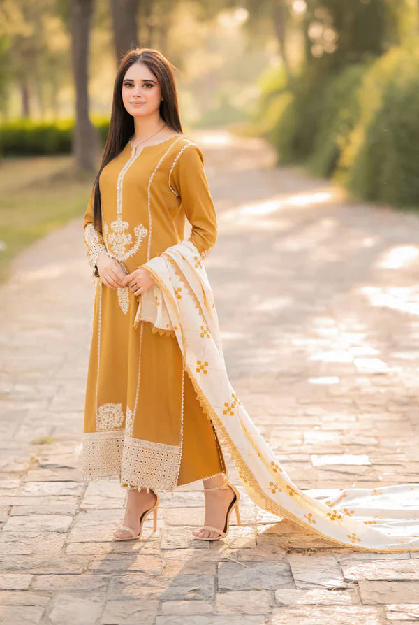 Aisling Dhanak Embroidered 3 Piece | AL113